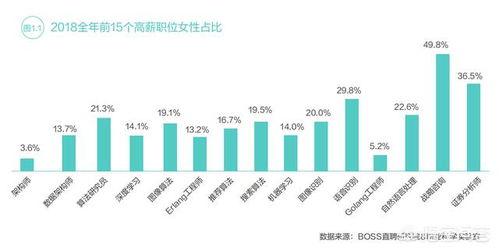 工程计算、计算机科学与技术、软件工程、信息工程及信息技术咨询 薪酬对比与职业前景分析